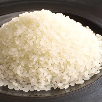 岐阜県産 匠の米「ハツシモ」をふっくら「かまど」で炊きました