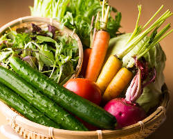 浜松の契約農家から直接仕入れる新鮮な野菜もお楽しみください