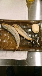 釧路湾のこまい！骨まで食べられるあっさりとしたお魚です！