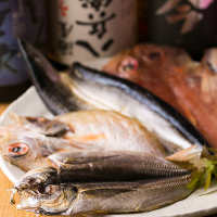 東海エリアの鮮魚や野菜、鶏肉・豚肉を使用したメニューが豊富！