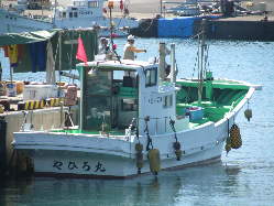 宮崎県・日向灘の漁港から水揚げされた鮮魚は直送で当店に入荷