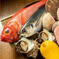 三重県南勢”紀伊長島”で上がった新鮮な魚メインにご提供！