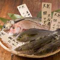 毎日日替わりの九州鮮魚は 当店でしか味わえない！！単品も可