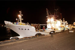 金沢港の網元漁船「恵比寿丸」より毎日直送された鮮魚をご提供！