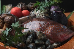 岡山市場、築地、釧路など全国の市場から仕入れた厳選食材。