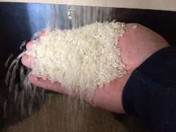 みその庵の米は主に山口県産「ひとめぼれ」を使用しています。